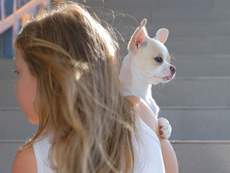 Similar image 21525775