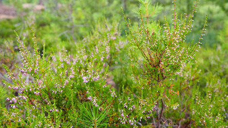 Similar image 21528156