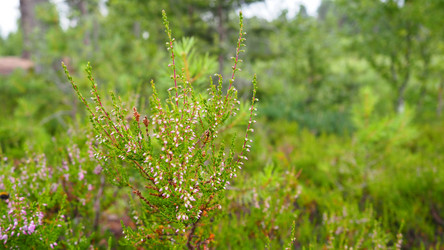 Similar image 21528157