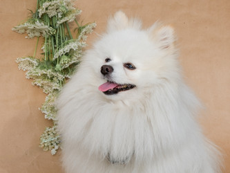 Similar image 21525778