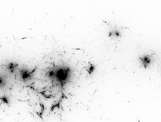 Similar image 21549413