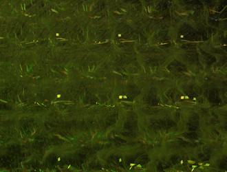 Similar image 21549421