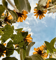 Similar image 21525779