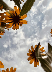 Similar image 21525781