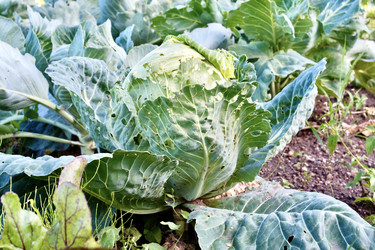 Similar image 21525782