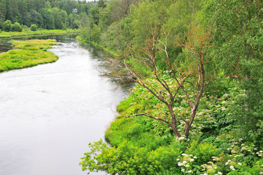 Similar image 21526083