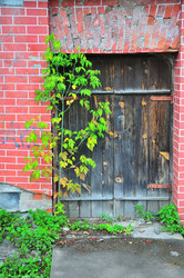 Similar image 21526090