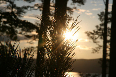 Similar image 21526605