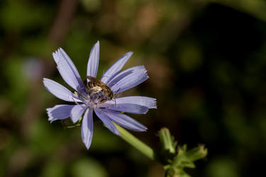 Similar image 21526137