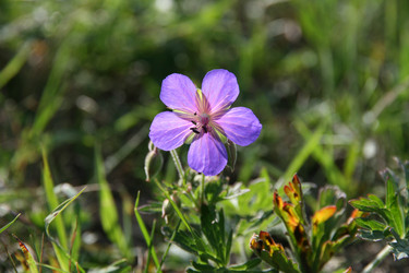 Similar image 21525879