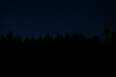 Similar image 21537739