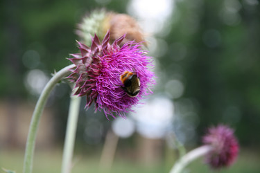 Similar image 21526714