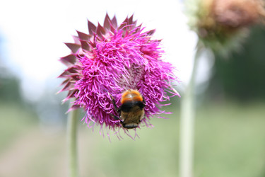 Similar image 21525882