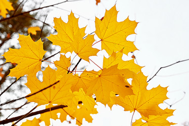 Similar image 21526717