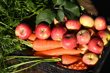 Similar image 21526719