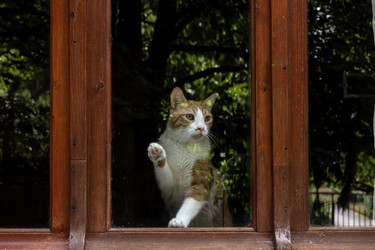 Similar image 21526140