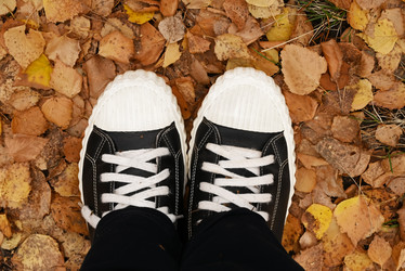 Similar image 21526723