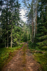 Similar image 21525783