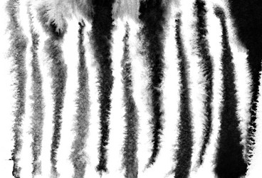 Similar image 21529637