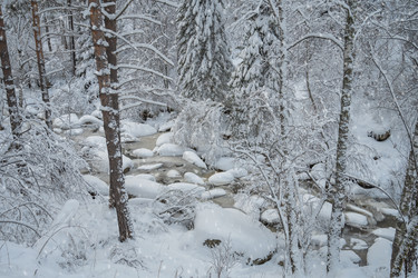 Similar image 21533364