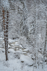 Similar image 21533365