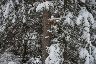 Similar image 21533366