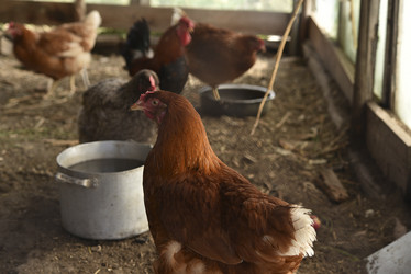 Similar image 21525886