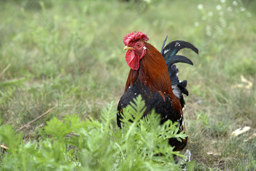 Similar image 21525889