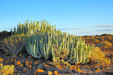 Similar image 21527357