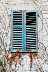 Similar image 21529106