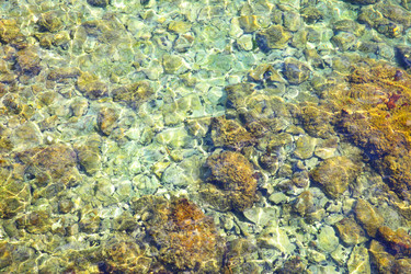 Similar image 21529198