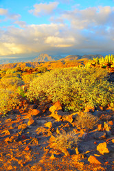 Similar image 21527517