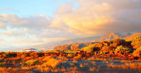 Similar image 21527522