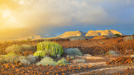 Similar image 21527524