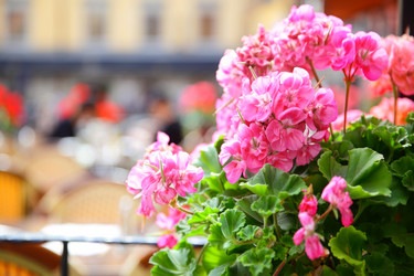 Similar image 21527589