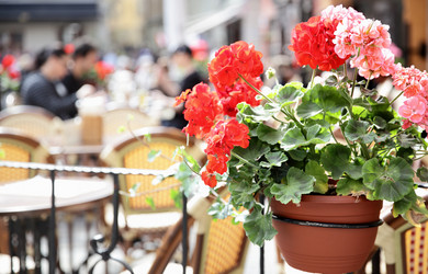 Similar image 21527734