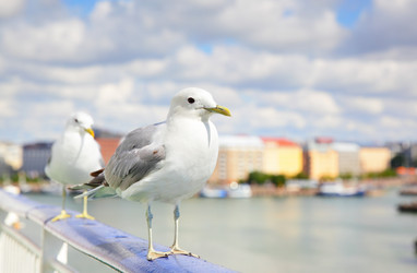 Similar image 21528423