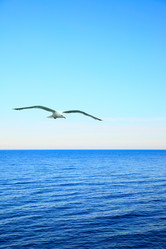 Similar image 21528425