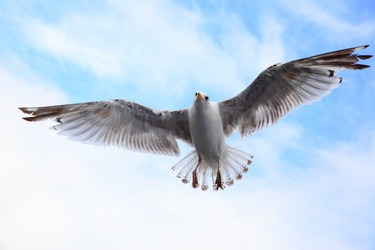 Similar image 21528426