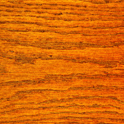 Similar image 21528431