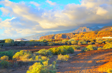 Similar image 21529214