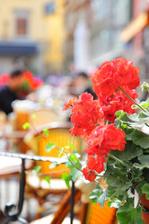 Similar image 21529760