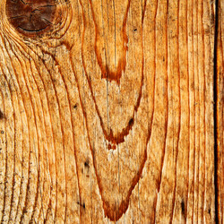 Similar image 21529766