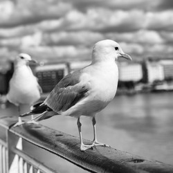 Similar image 21529773