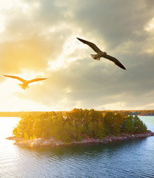 Similar image 21529790