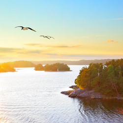 Similar image 21527700