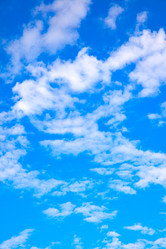 Similar image 21529148