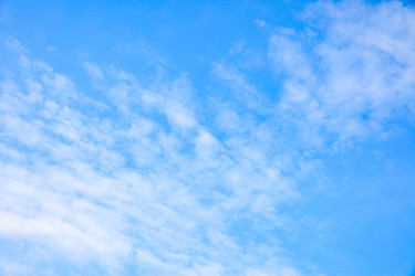 Similar image 21529184