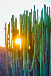 Similar image 21529806