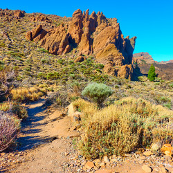 Similar image 21529813